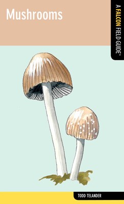 Mushrooms Mushrooms
