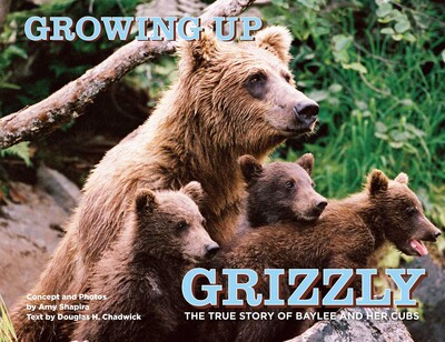 Growing Up Grizzly Growing Up Grizzly
