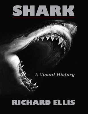 Shark Shark