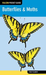 Butterflies & Moths Butterflies & Moths