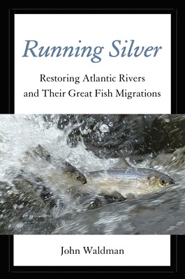 Running Silver Running Silver