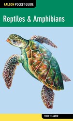 Reptiles & Amphibians Reptiles & Amphibians