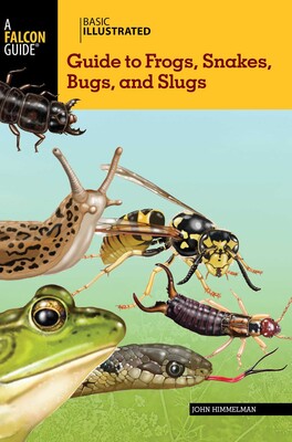 Basic Illustrated Guide to Frogs, Snakes, Bugs, and Slugs Basic Illustrated Guide to Frogs, Snakes, Bugs, and Slugs