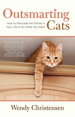 Outsmarting Cats Outsmarting Cats