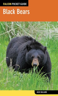 Black Bears Black Bears