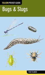 Bugs & Slugs Bugs & Slugs