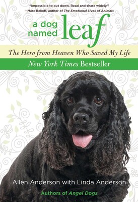 Dog Named Leaf Dog Named Leaf
