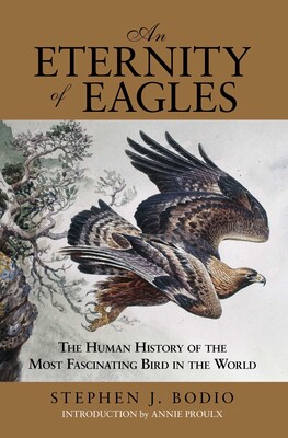 Eternity of Eagles Eternity of Eagles