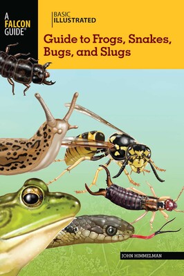 Basic Illustrated Guide to Frogs, Snakes, Bugs, and Slugs Basic Illustrated Guide to Frogs, Snakes, Bugs, and Slugs