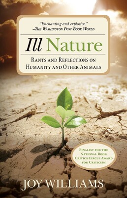 Ill Nature Ill Nature