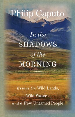 In the Shadows of the Morning In the Shadows of the Morning