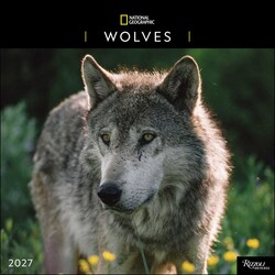 National Geographic: Wolves 2027 Wall Calendar National Geographic: Wolves 2027 Wall Calendar