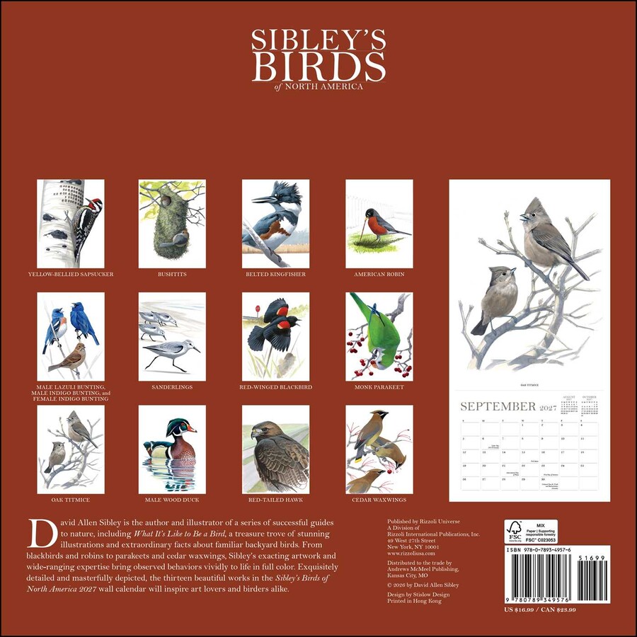 Sibley's Birds of America 2027 Wall Calendar