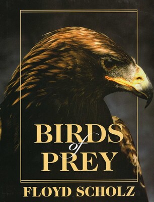Birds of Prey Birds of Prey