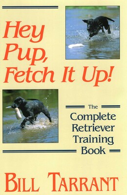 Hey Pup, Fetch It Up! Hey Pup, Fetch It Up!