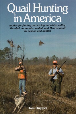 Quail Hunting In America Quail Hunting In America