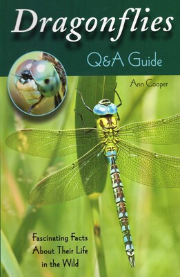 Dragonflies: Q&A Guide Dragonflies: Q&A Guide