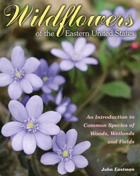Wildflowers of the Eastern United States Wildflowers of the Eastern United States