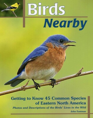 Birds Nearby Birds Nearby