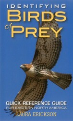 Identifying Birds of Prey Identifying Birds of Prey