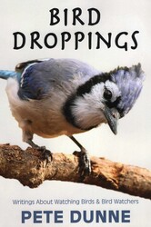 Bird Droppings Bird Droppings