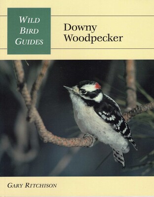 Wild Bird Guide: Downy Woodpecker Wild Bird Guide: Downy Woodpecker