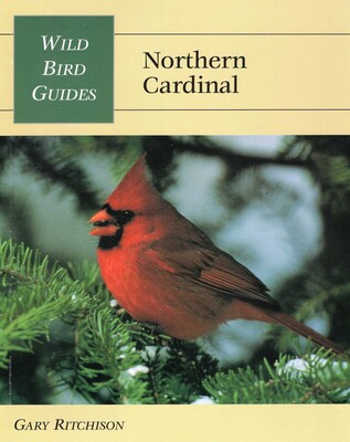 Wild Bird Guide: Northern Cardinal Wild Bird Guide: Northern Cardinal