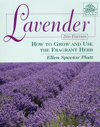 Lavender Lavender