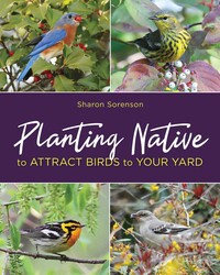 Planting Native to Attract Birds to Your Yard Planting Native to Attract Birds to Your Yard