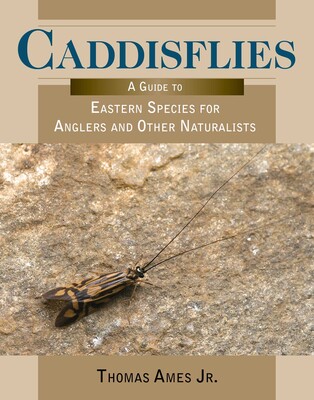 Caddisflies Caddisflies