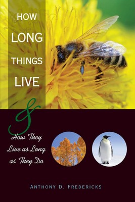 How Long Things Live How Long Things Live