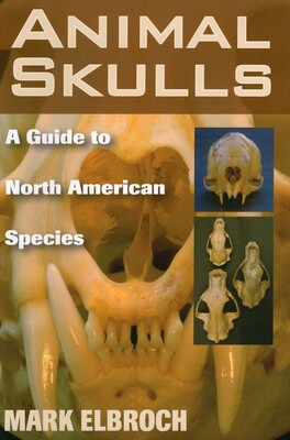 Animal Skulls Animal Skulls