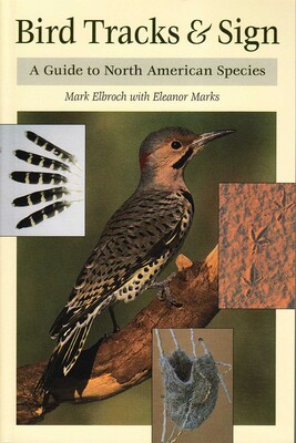 Bird Tracks & Sign Bird Tracks & Sign