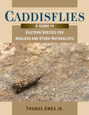 Caddisflies Caddisflies