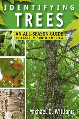 Identifying Trees Identifying Trees