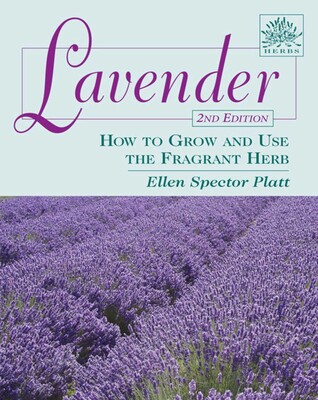Lavender Lavender