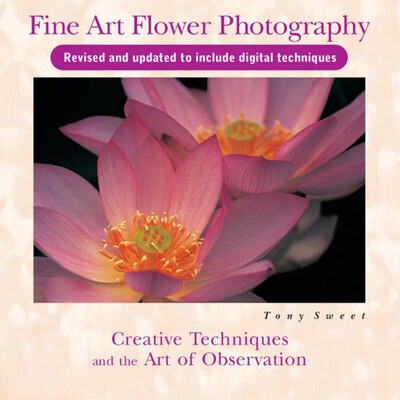 Fine Art Flower Photography Fine Art Flower Photography