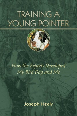 Training a Young Pointer Training a Young Pointer