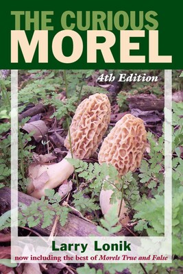 Curious Morel Curious Morel