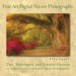 Fine Art Digital Nature Photography Fine Art Digital Nature Photography