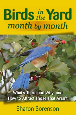 Birds in the Yard Month by Month Birds in the Yard Month by Month
