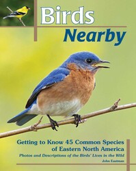Birds Nearby