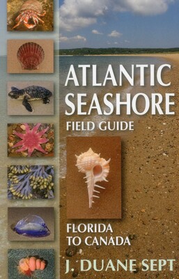 Atlantic Seashore Field Guide Atlantic Seashore Field Guide