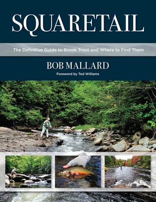 Squaretail Squaretail