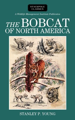 Bobcat of North America Bobcat of North America