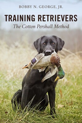 Training Retrievers Training Retrievers