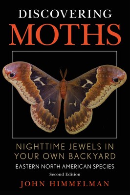 Discovering Moths Discovering Moths