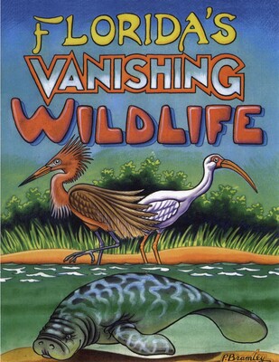 Florida's Vanishing Wildlife Florida's Vanishing Wildlife