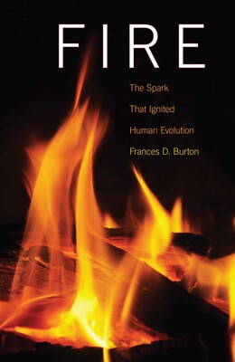 Fire Fire