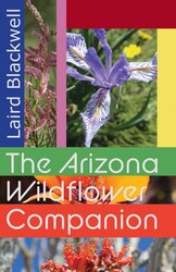 The Arizona Wildflower Companion The Arizona Wildflower Companion